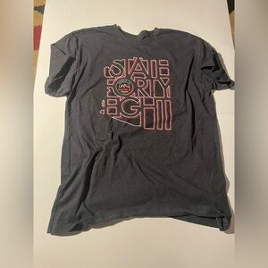 Gray Graphic T-Shirt State Forty Eight Mens Size XL Extra Large Arizona Good